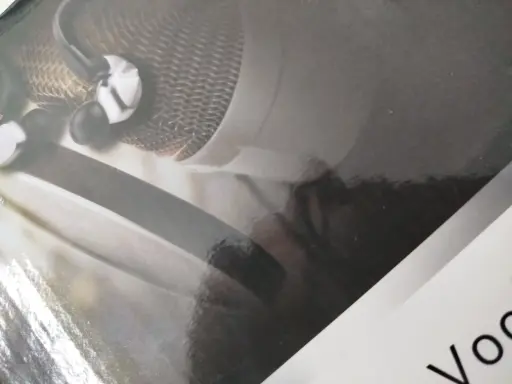 Micrófono de condensador profesional 